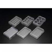 Multi well Culture Plate, 6 well PS, surface treatment, sterile