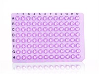 96well PCR plate, purple, black grid ref.
