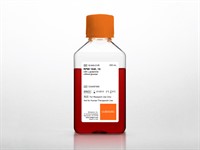 10 L RPMI 1640 with L-glutamine