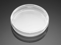 Falcon® 60mm TC-Treated Center Well Organ Culture Dish, 20/Pack, 500/C