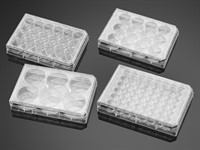 Falcon 6-well clear TC-treated multiwellplate with lid