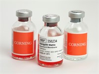 Corning Matrigel matrix, GFR (growth factor reduced), 10 ml