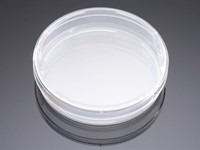 Corning® PureCoat™ Amine 100mm  Dish, 10/Pack, 40/Case