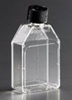 TC Flask, 25 cm2, Canted Neck, Anti-Tip, Plug Seal, Sterile