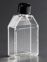 TC Flask, 25 cm2, Canted Neck, Anti-Tip, Phenolic, Sterile