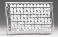 FrameStar 96 Well Semi-Skirted PCR Plate, Roche Style