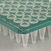 Adhesive PCR seals (AB-0558)