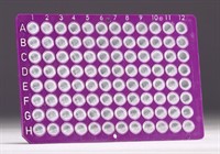 FrameStar 96 non skirted 50 plates, purple frame  (AB-0600)