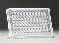 96well skirted PCR plate (AB-0800)