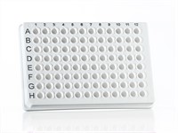 96 well skirted PCR plate (AB-0800) white