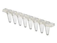 Low profile PCR strip of 8 tubes, clear