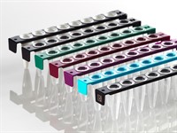 FrameStrip 8 clear tubes,mixed frame colours w. sep. strip of d. caps