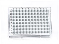 FrameStar 96 Well, white wells, Semi-Skirted PCR Plate, Roche Style
