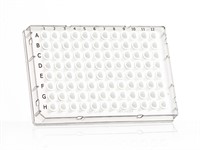 FrameStar 96 Well Skirted PCR Plate