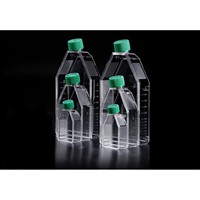 Cell Culture Flask, 175cm2, PS, surface treatment