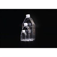 Cell culture Flask, 175cm2, PS
