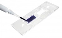 C-Chip, Neubauer Improved, 100µm