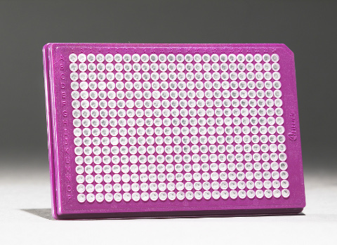 FrameStar 384 (TF-0384), 50 plates, purple frame